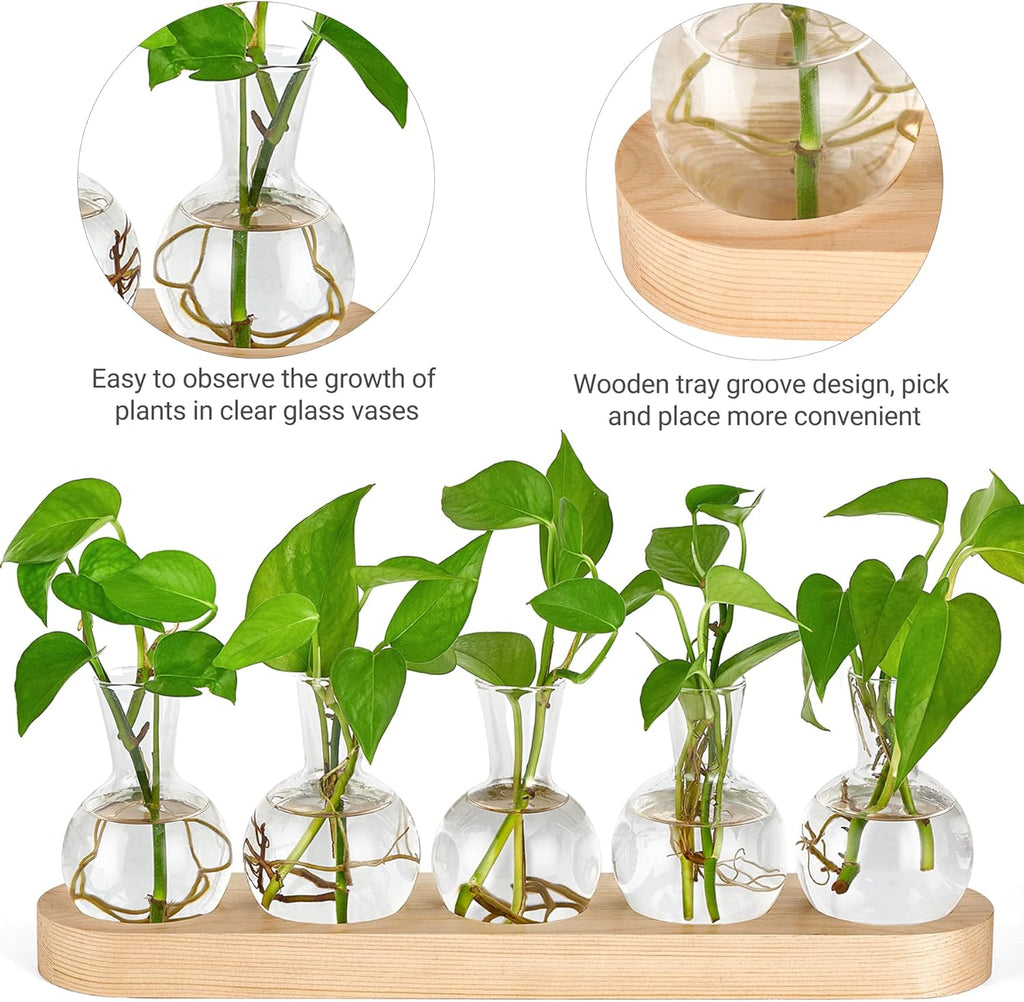 Mkono Desktop Plant Propagation Glass Vase Station Retro Terrarium with Wooden Tray Bulb Flower Container Perfect for Propagating Hydroponic Plants Home Office Decor Lover Gift Idea, Beige (YYBL0035)