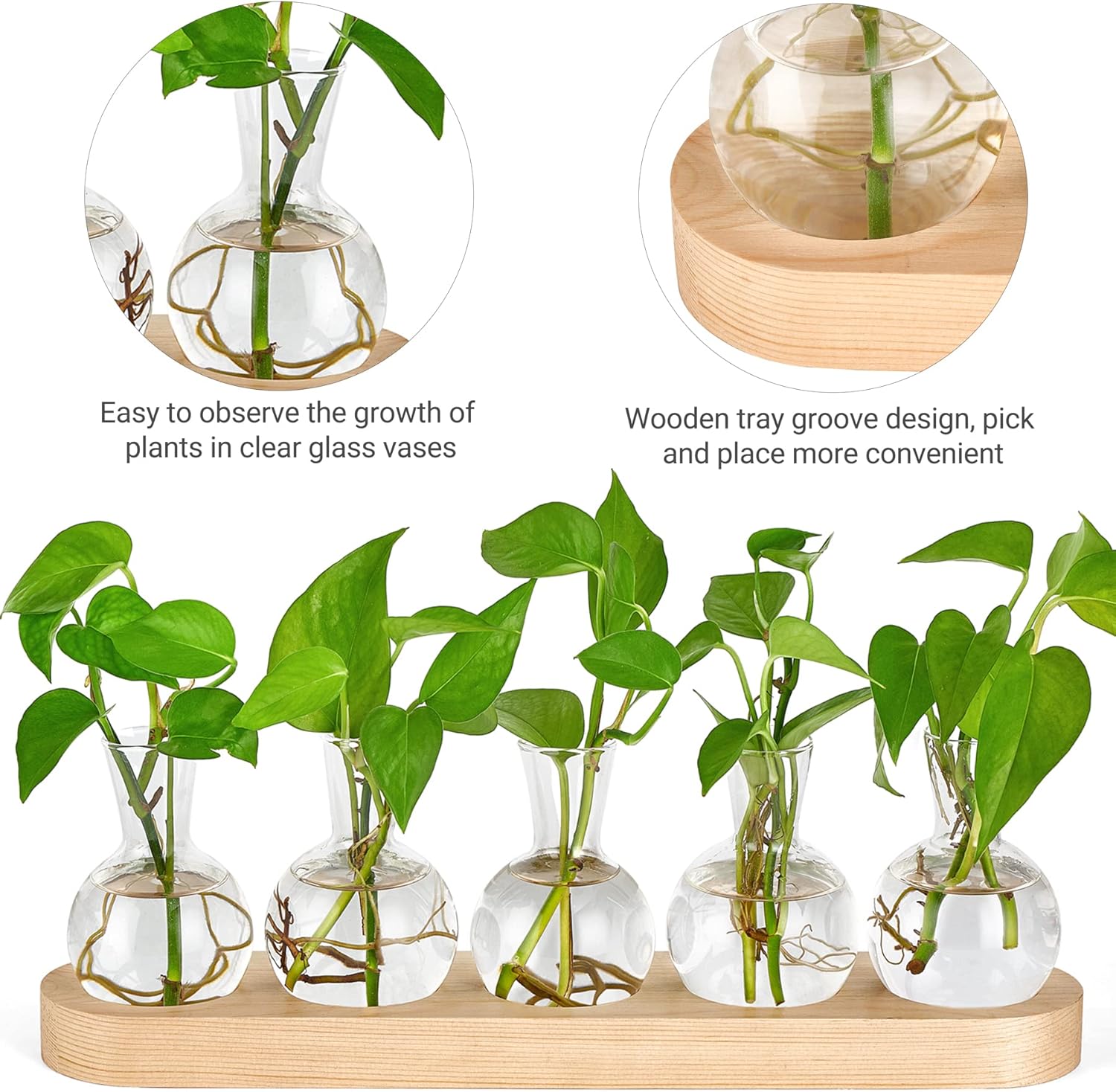 Mkono Desktop Plant Propagation Glass Vase Station Retro Terrarium with Wooden Tray Bulb Flower Container Perfect for Propagating Hydroponic Plants Home Office Decor Lover Gift Idea, Beige (YYBL0035)
