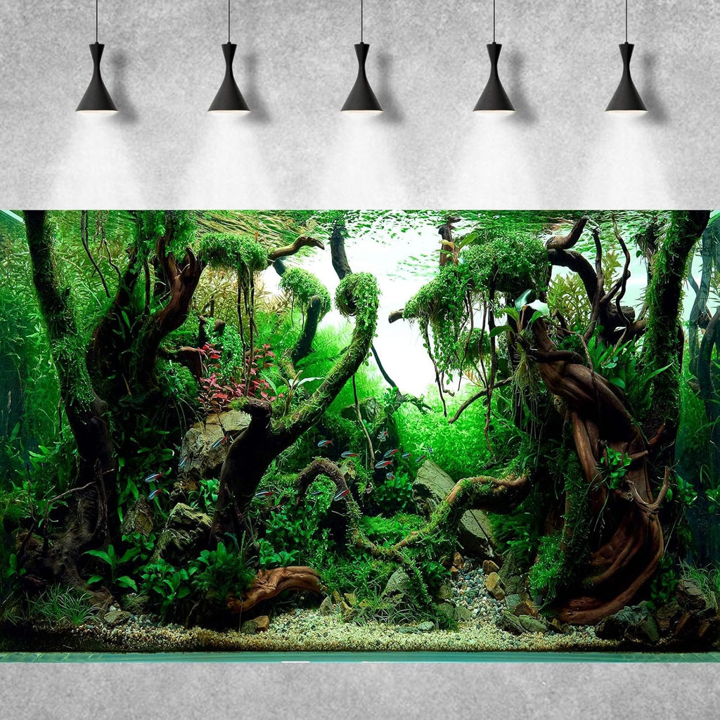 Freshwater Aquarium Background Jungle Style Aquascape Microsorum Trident Various Rotalas Anubias Fish Tank Background Aquatic Plants Frodo Stones and Redmoor Roots Terrarium Background 48x18in