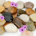 NUPICK 6lb River Rocks for Plants Indoor, 2-3Inch Mixed Pebbles for Vases Fillers, Decorative Gravel for Fish Tank, Natural Polished Stones for Succulent, Bonsai, Landscaping, Bird Baths