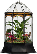 H Potter Eight Sided Terrarium Wardian Case with Curved Glass and Brown Accents Large