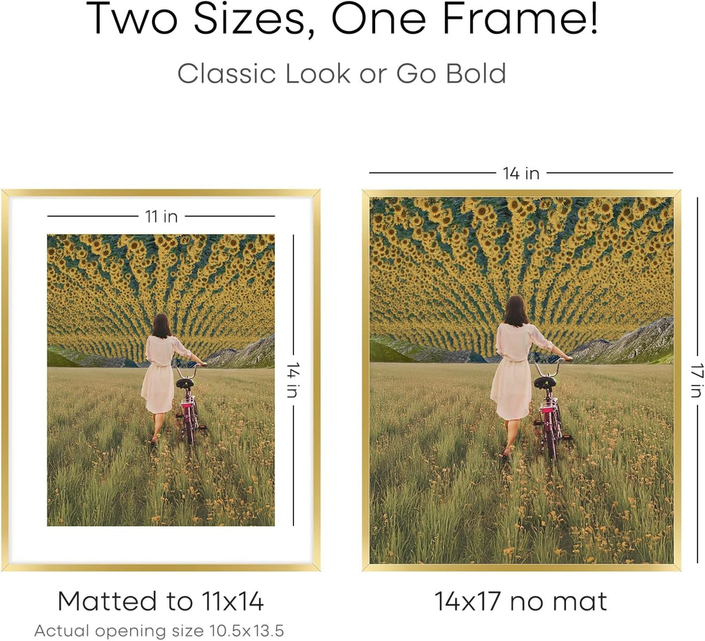 Homeforia 14x17 Picture Frame Gold, High End Metal 14x17 Poster Frames with Mat 11x14 Photo, 14 x 17 Gold Frames Matted to 11 by 14 Print, 17x14 Thin Hanging Frames, Tempered Glass, Wall Kit, Set of 2