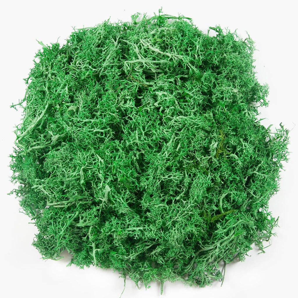 3.5 oz Artificial Moss for Plants Indoor, Fake Preserved Reindeer Moss for Centerpieces Home Decor Potted Plants Crafts Wedding Wall Decor(Green)