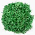 3.5 oz Artificial Moss for Plants Indoor, Fake Preserved Reindeer Moss for Centerpieces Home Decor Potted Plants Crafts Wedding Wall Decor(Green)