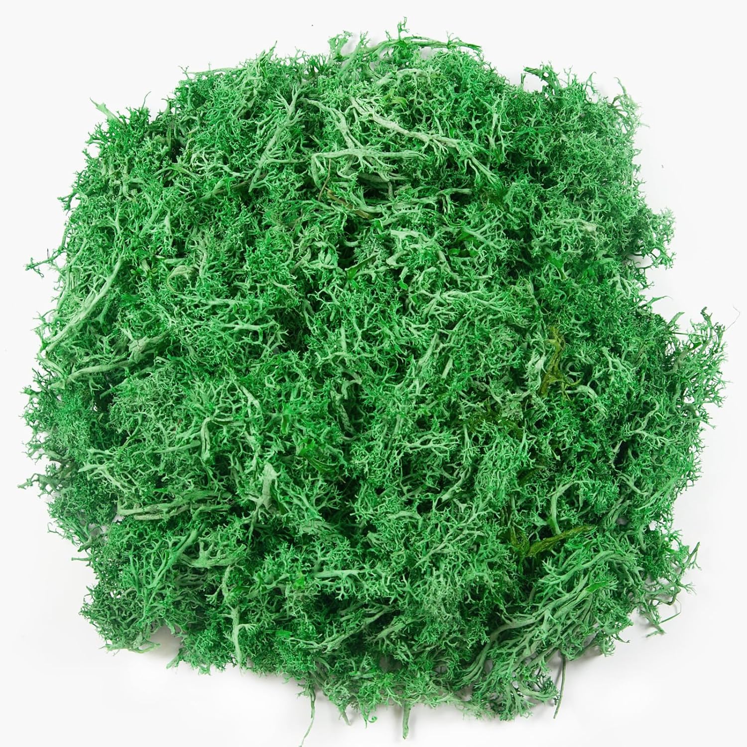 3.5 oz Artificial Moss for Plants Indoor, Fake Preserved Reindeer Moss for Centerpieces Home Decor Potted Plants Crafts Wedding Wall Decor(Green)