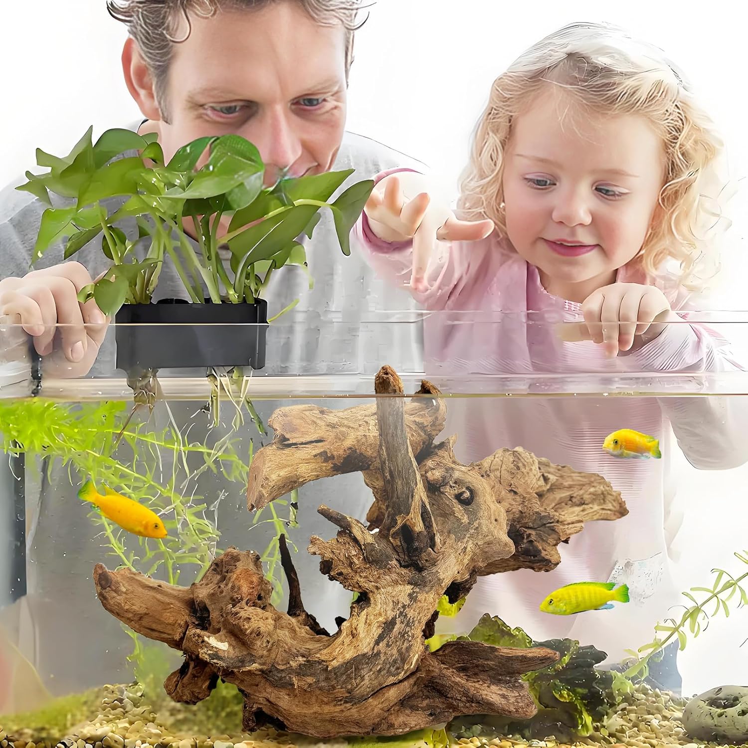 kathson Large Natural Aquarium Driftwood Reptiles Branches Terrarium Ornament Sinkable Wood Decor Trunk Fish Tank Log Habitat Decoration (13"-17")
