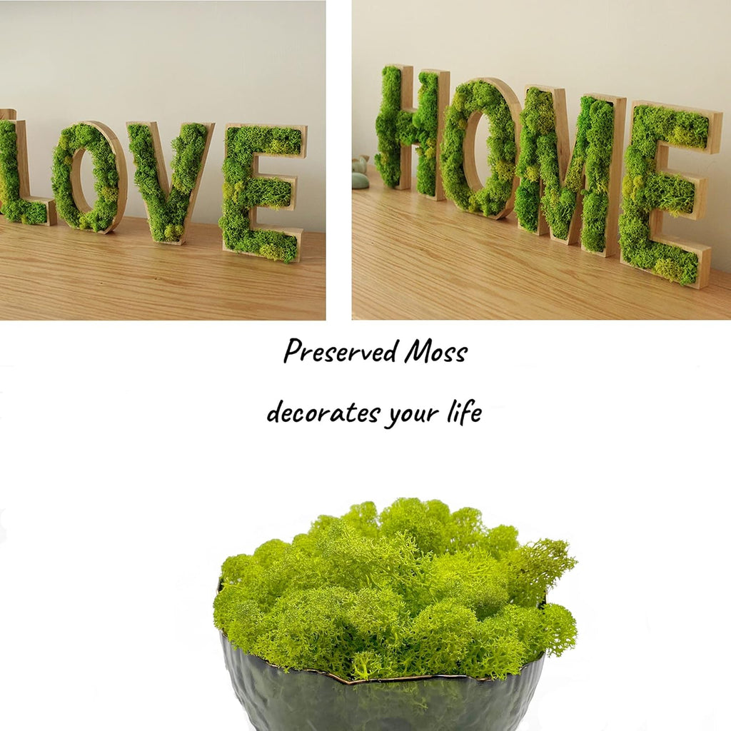 Moss Preserved Artificial Moss 8.8oz Natural Fresh Green Moss for Craft Arts Floral Project Wall Decor Table Decor Wedding Centerpieces Garden Terrariums Decoration Chartreuse