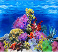 Fish Backgrounds Paper Double Sides Undersea Aquarium Background Poster Colorful Sea Anemone Fish Tank Background Sticker Decorations 12"x 25"