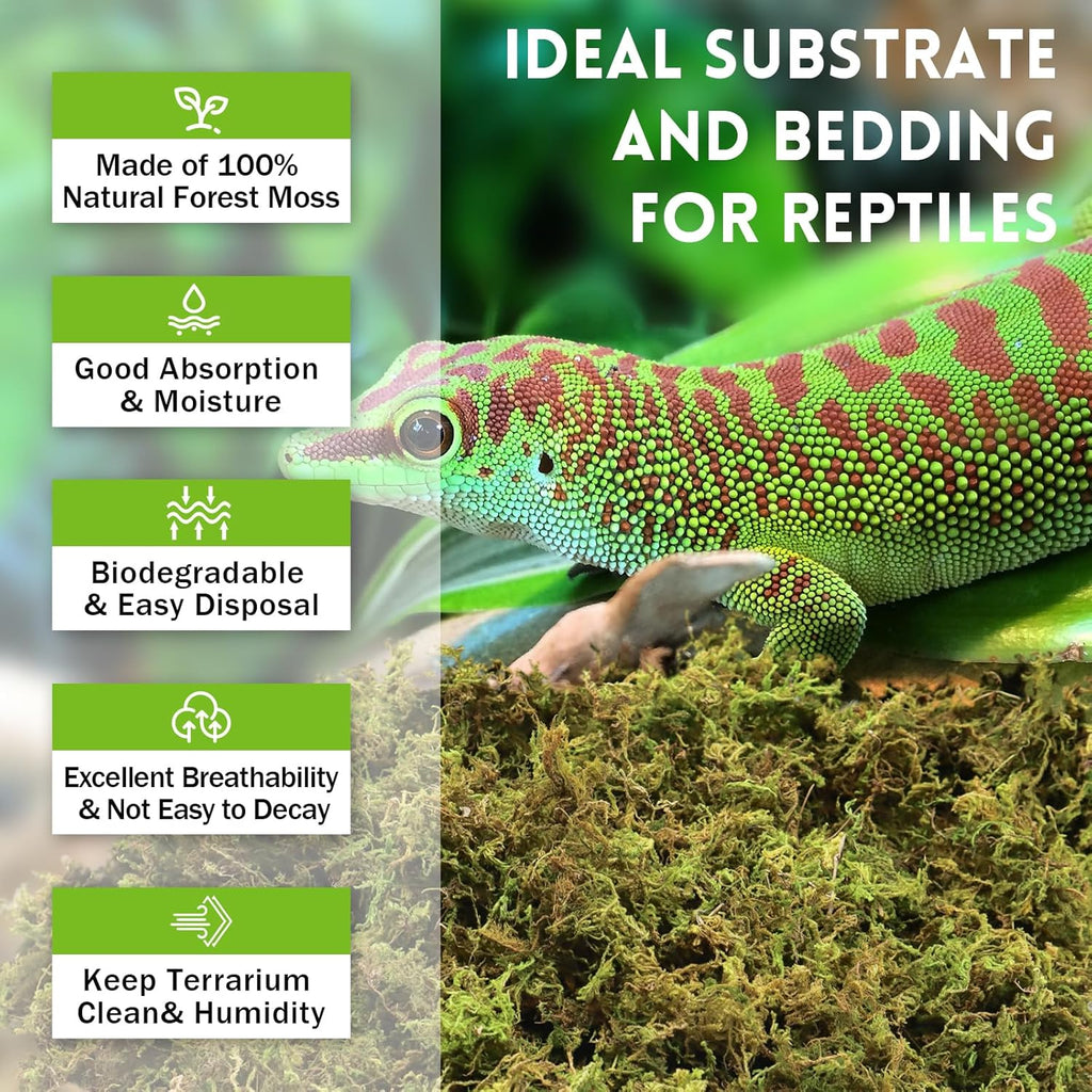 Riare 3.5 OZ Premium Sphagnum Moss for Reptiles- 4QT Natural Live Moss Reptile Moss Bedding for Terrarium, Hatching, Forest Sphagnum Moss Reptile Substrate for Snakes, Gecko, Turtles, Frogs, Leopard