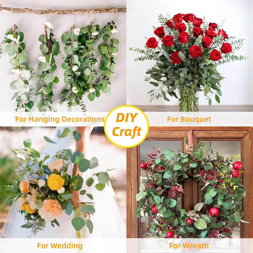 22 Pcs Large Dried Eucalyptus & Silver Dollar Leaves Bundle - Natural Real Fresh Eucalyptus, 17" Preserved Eucalyptus Stems for Shower Hanging, Bathroom Decor, Garland, Greenery Plant (22)