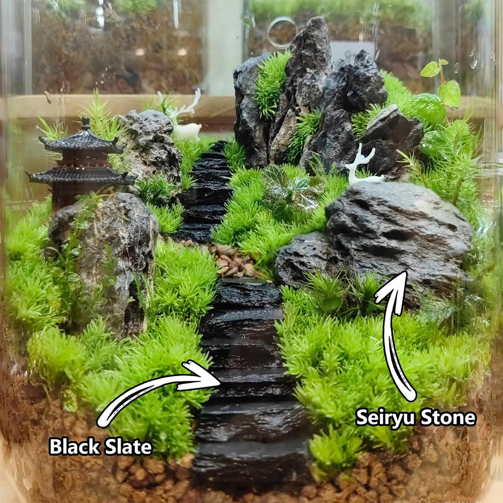 Natural Rocks Seiryu Stone 1-2 Inches Decorative Stones for Fairy Gardens,Miniature Landscaping,Bonsai,DIY Crafts, Aquariums & Reptile Terrariums-1lb