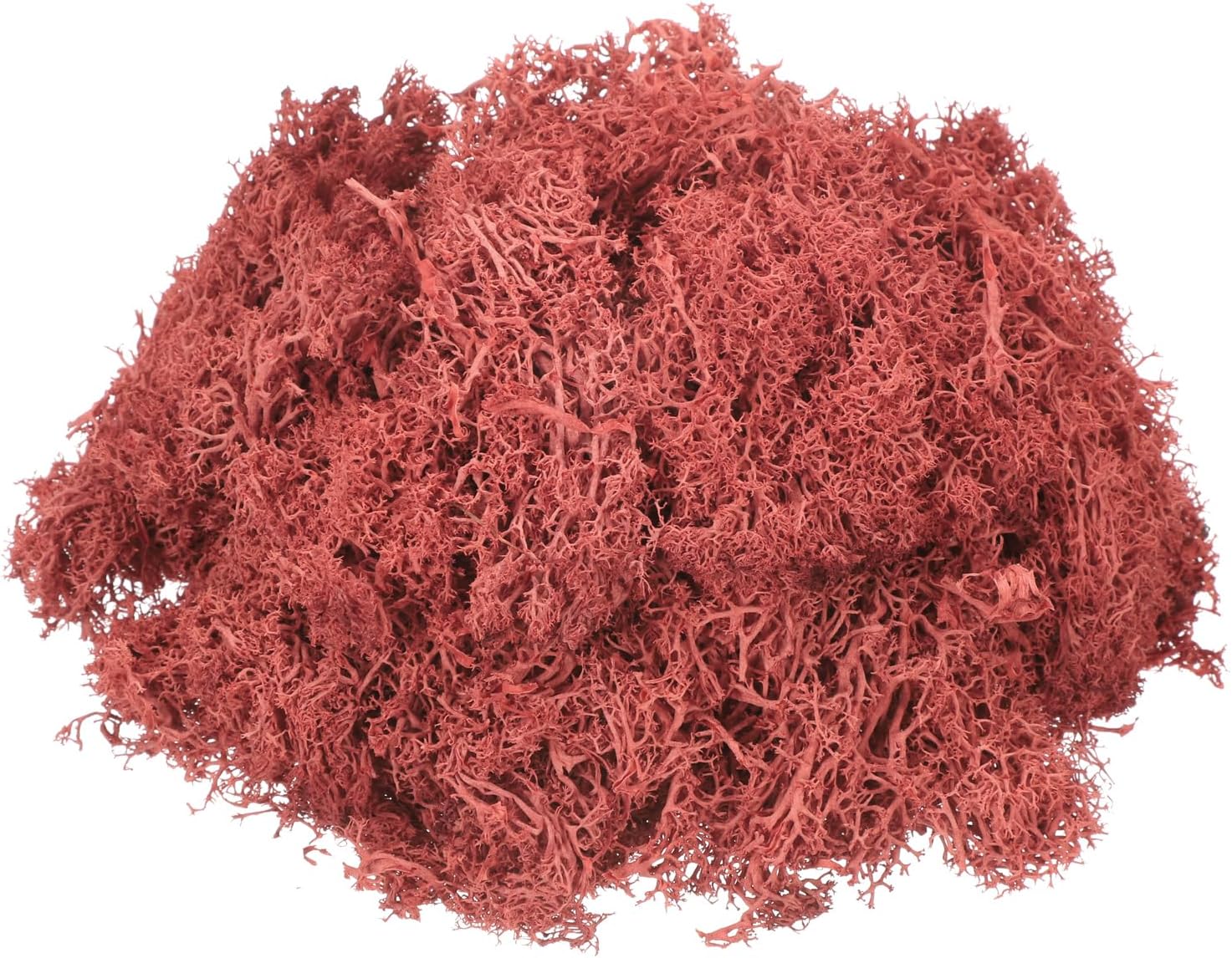 MECCANIXITY 3oz Preserved Reindeer Moss, Red Decorative Artificial Fake Moss for Potted Plants Indoor Crafts Lichen Centerpieces Decor