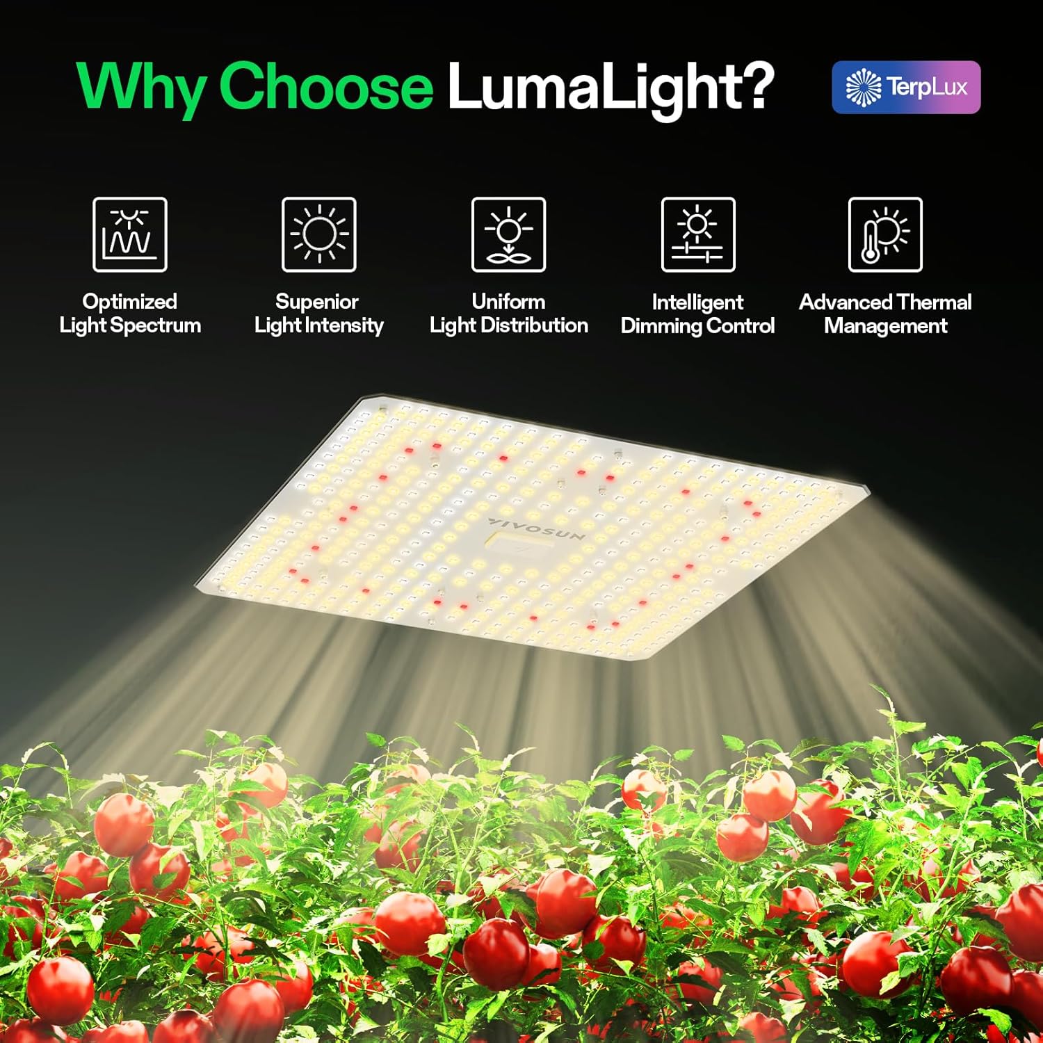 VIVOSUN VS1500 LED Grow Light with Full Spectrum Diodes & Daisy Chain Driver Dimmable Lights Sunlike for Indoor Plants Seedling Veg and Bloom Plant Grow Lamps for 3x3 Grow Tent