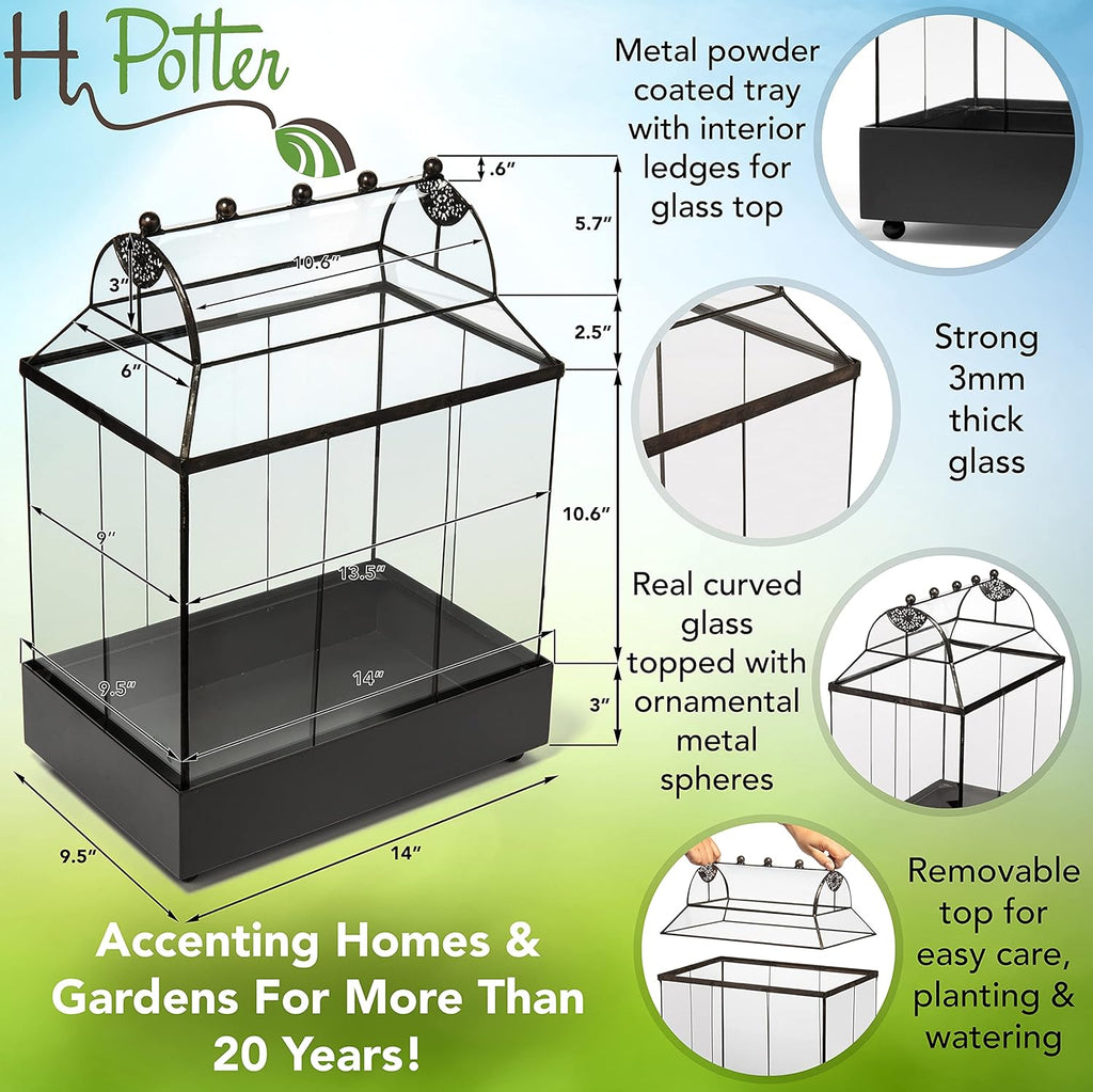H Potter Glass Terrarium Succulent Planter Wardian Case Container for Plants WAR105
