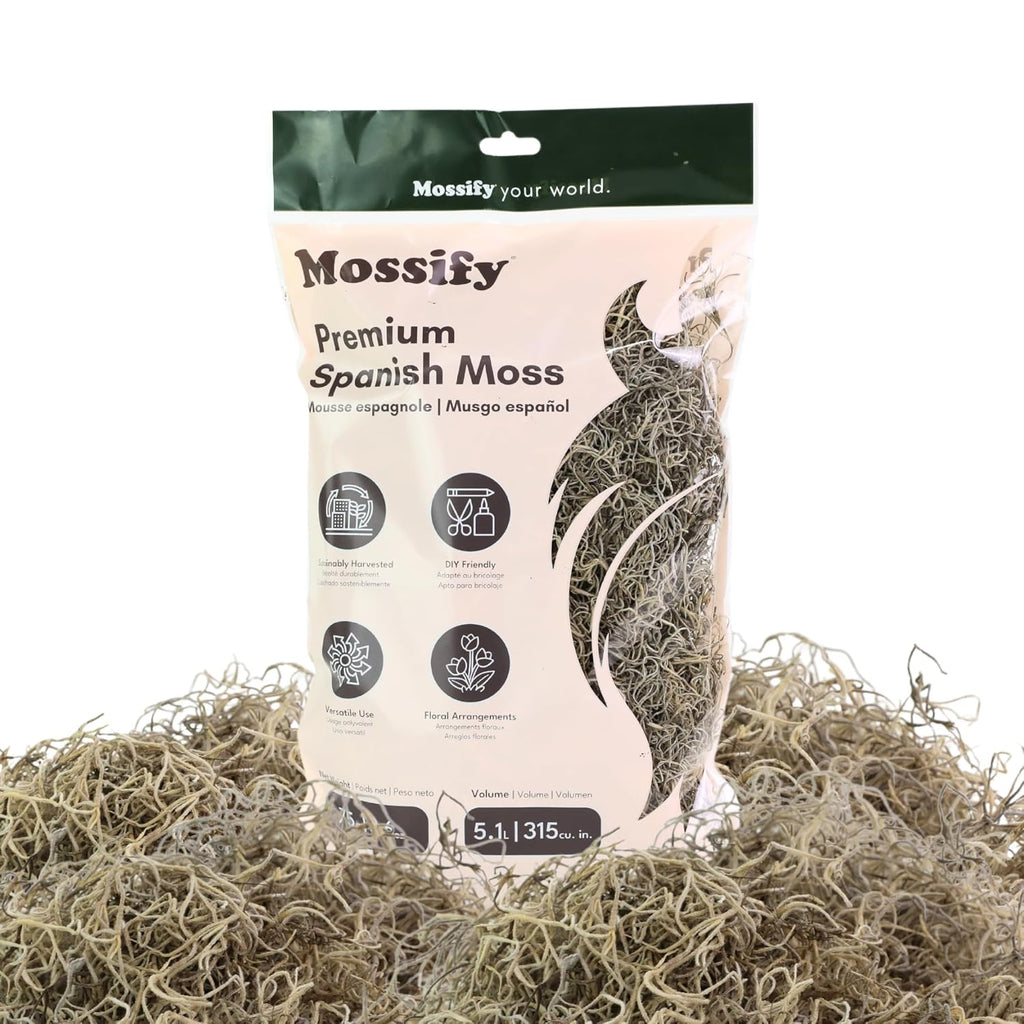 Mossify Premium Spanish Moss for Plants Indoor & Outdoor 75g, 2.6Oz - Natural Dried Preserved Moss for Crafts, Terrariums, Floral Arrangements, Garden & Home Décor – Humidity Retaining Spanish Moss