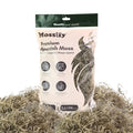Mossify Premium Spanish Moss for Plants Indoor & Outdoor 75g, 2.6Oz - Natural Dried Preserved Moss for Crafts, Terrariums, Floral Arrangements, Garden & Home Décor – Humidity Retaining Spanish Moss