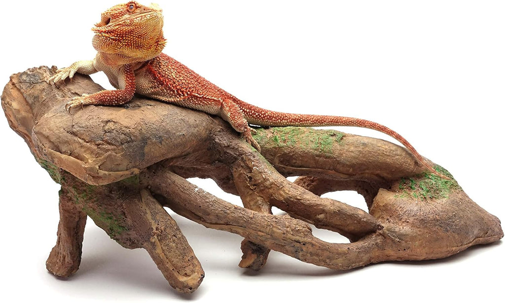CAROLINACUSTOMCAGES Gnarled Large Root, Brown, Reptile Habitat Accessory