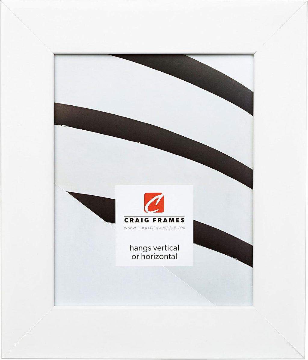 Craig Frames 74267 22 by 28-Inch Picture Frame, Smooth Wrap Finish, 2-Inch Wide, White Satin