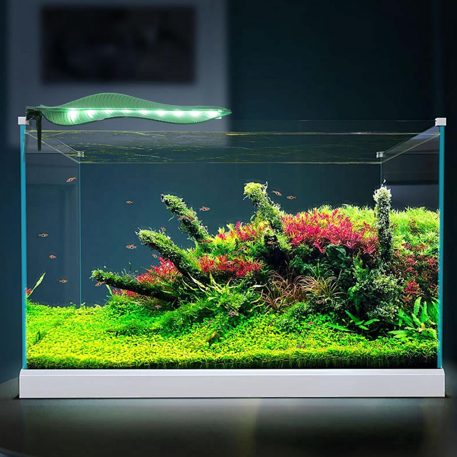 COHEALI High Brightness LED Aquarium Light Lamp USB-Powered Small Fish Tank Lamp for Thickness -Saving Aquarium Lighting