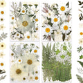 100P White Foliage & Flower Mix Dried Flowers for Crafts, Real Natural Pressed Flowers for DIY Crafts, Resin Jewelry, Candle Art & Scrapbooking Crafts – Tweezers Included