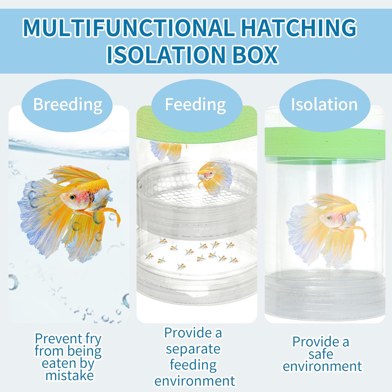 Suspensions Breeder Box, Floating Mesh Isolation Fish Tank Separator Set, Ideal for Aquatic Pets, Large, Green, 1 Set
