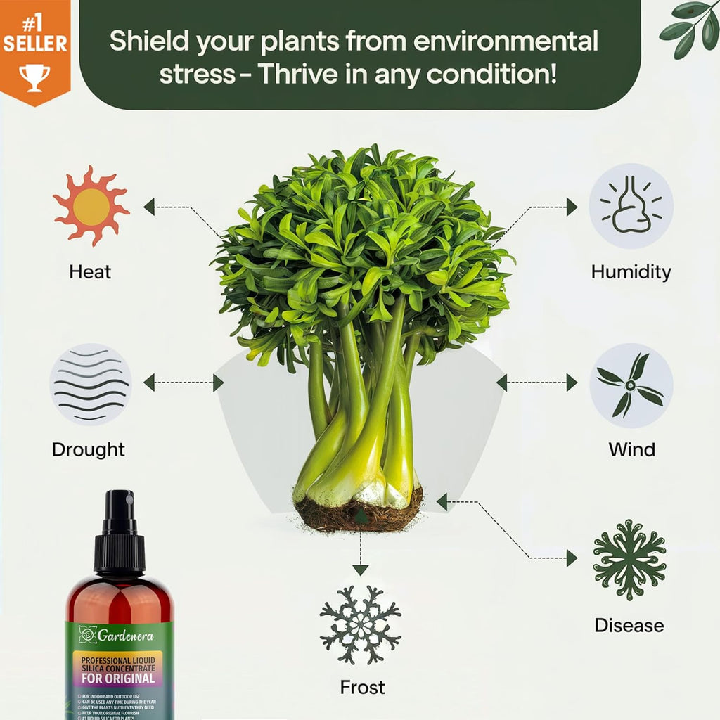 𝐏𝐑𝐄𝐌𝐈𝐔𝐌 Liquid Silica Plant Supplement - 8oz (250mL) - Monstera Bioavailable Silica Fertilizer – Ideal for Hydroponics & Soil – Healthier Plants with Strong Stalks (Makes 45 Gallons)
