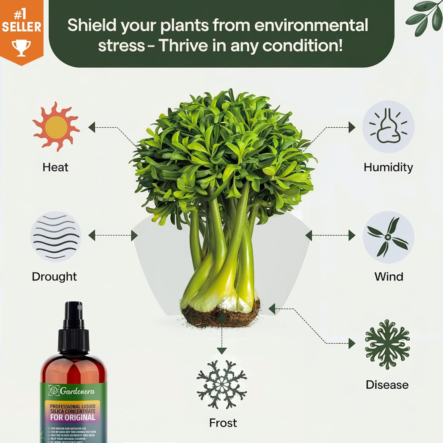 𝐏𝐑𝐄𝐌𝐈𝐔𝐌 Liquid Silica Plant Supplement - 8oz (250mL) - Monstera Bioavailable Silica Fertilizer – Ideal for Hydroponics & Soil – Healthier Plants with Strong Stalks (Makes 45 Gallons)