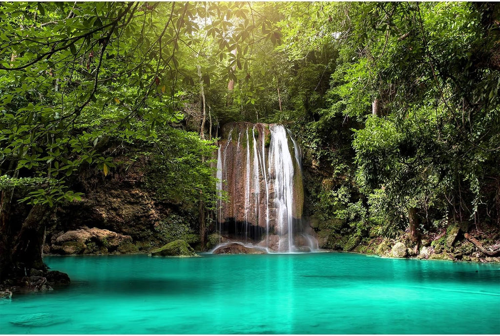 Jungle Waterfall Aquarium Background Lush Green Rainforest Rocks Terrarium Background Falls Green Plants Natural Landscape Fish Tank Background Lake Stream Waterfall Reptile Background 24x16in