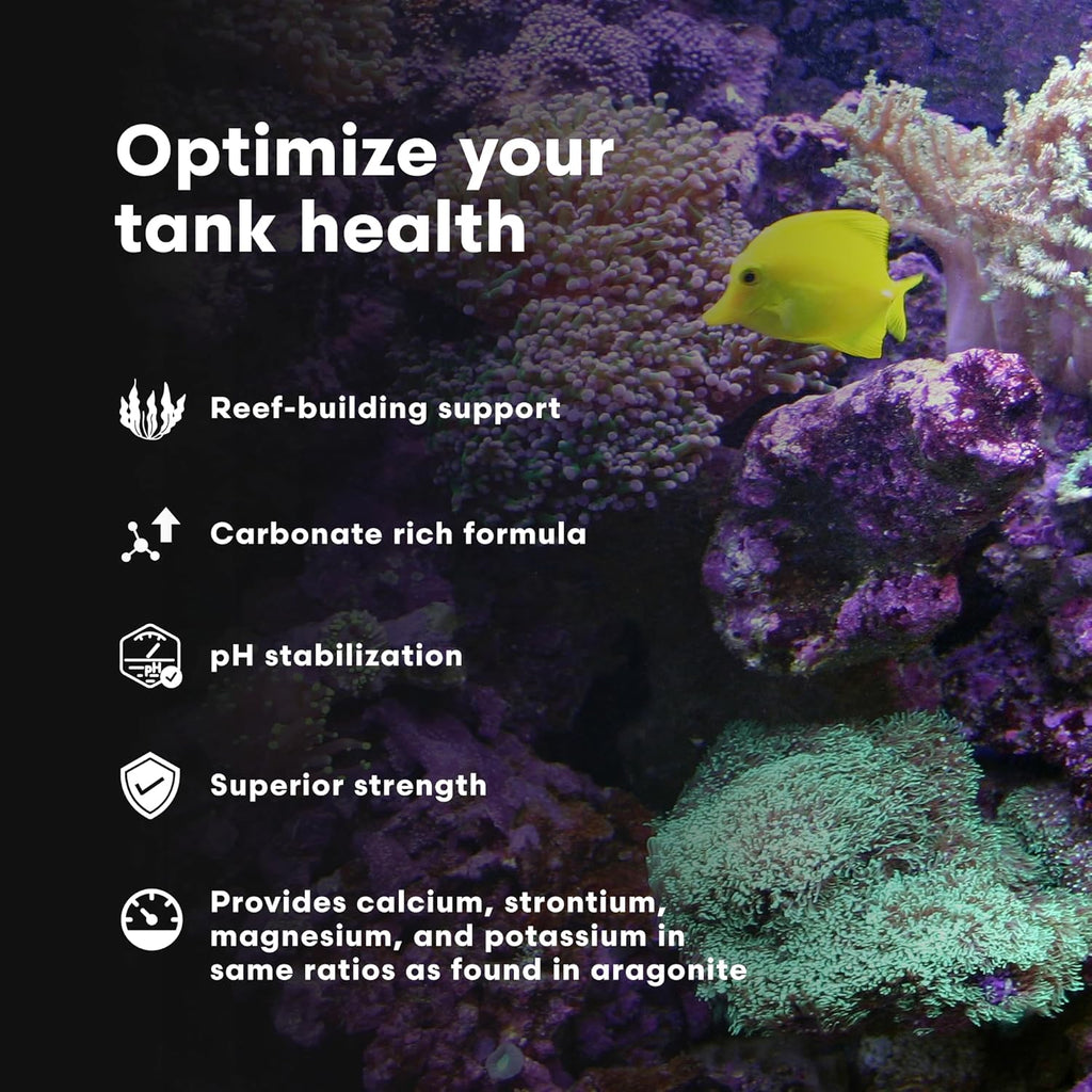 Brightwell Aquatics - Coralline Accelerator - Multi-Nutrient Supplement for Coralline Algae Growth in Marine and Reef Aquariums - Aquarium Water Treatments, 5.28 GAL