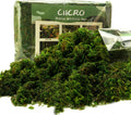 Moss for Plants Indoor, 16OZ Fresh Green Artificial Moss for DIY Crafts, Table Centerpieces- Faux Grass for Hamsters Micro-Landscape Terrariums Centerpieces Decor (Fresh Green)