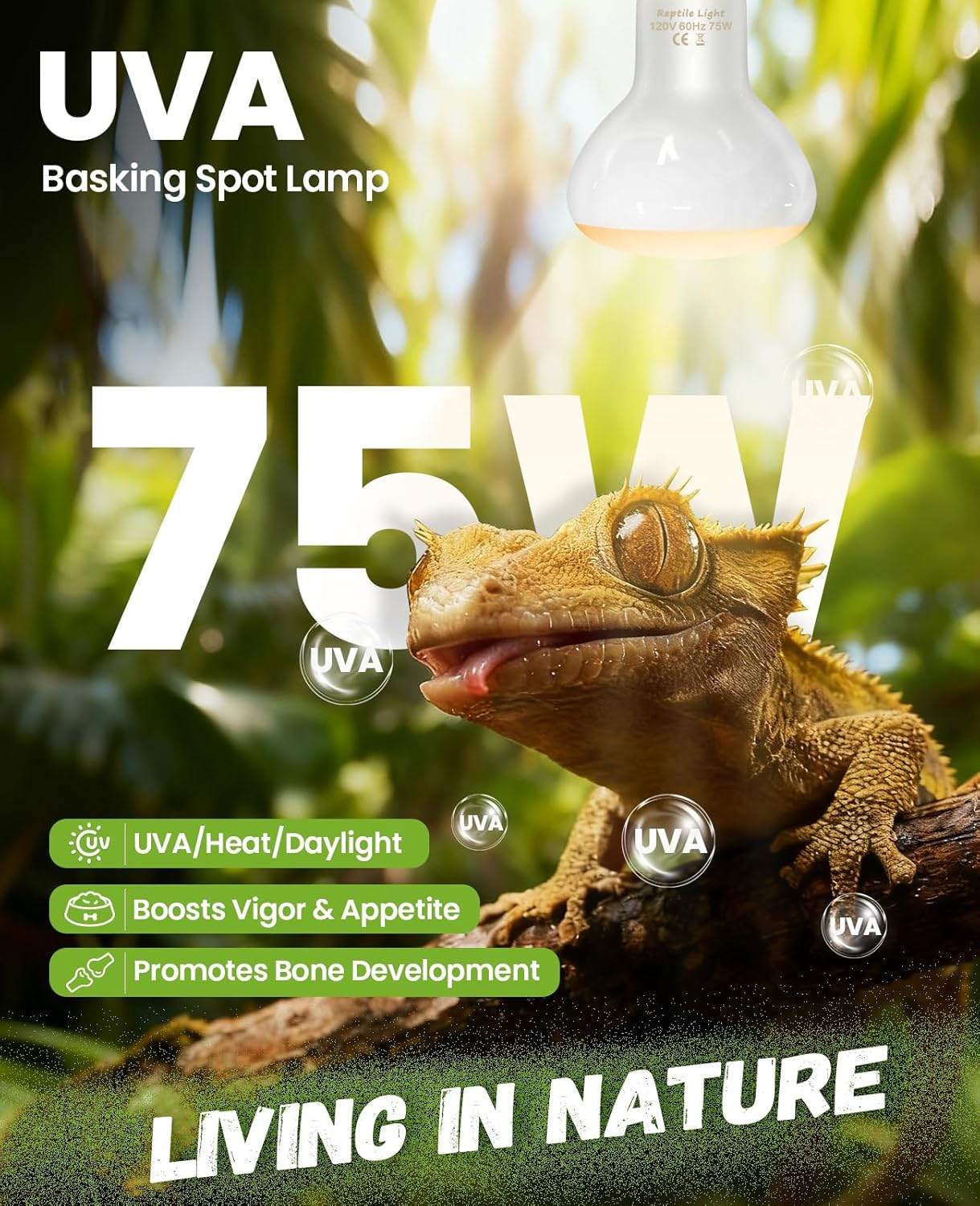 KINDEEP 75W Reptile Heat Lamp Bulbs: Reptile Day & Night Basking Spot Bulb Combo Amphibian Infrared Heat Lamp Bulb - UVA Basking Spot Daylight Heating Light Bulb for Lizard Tortoise Snake