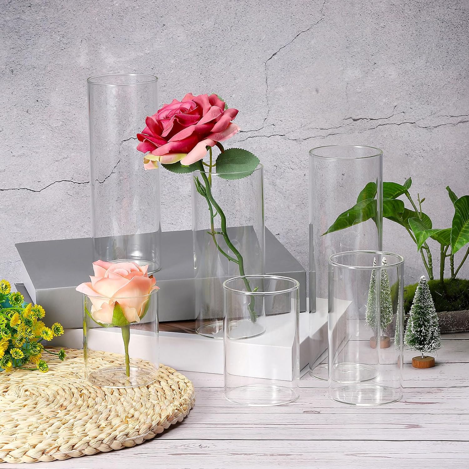 PATIKIL Clear Glass Cylinder Vase, 7.9" Tall and 2.6" Dia Tabletop Flowers Vase Floating Candle Holder Vase for Home Decor Wedding Centerpieces(18.6oz)