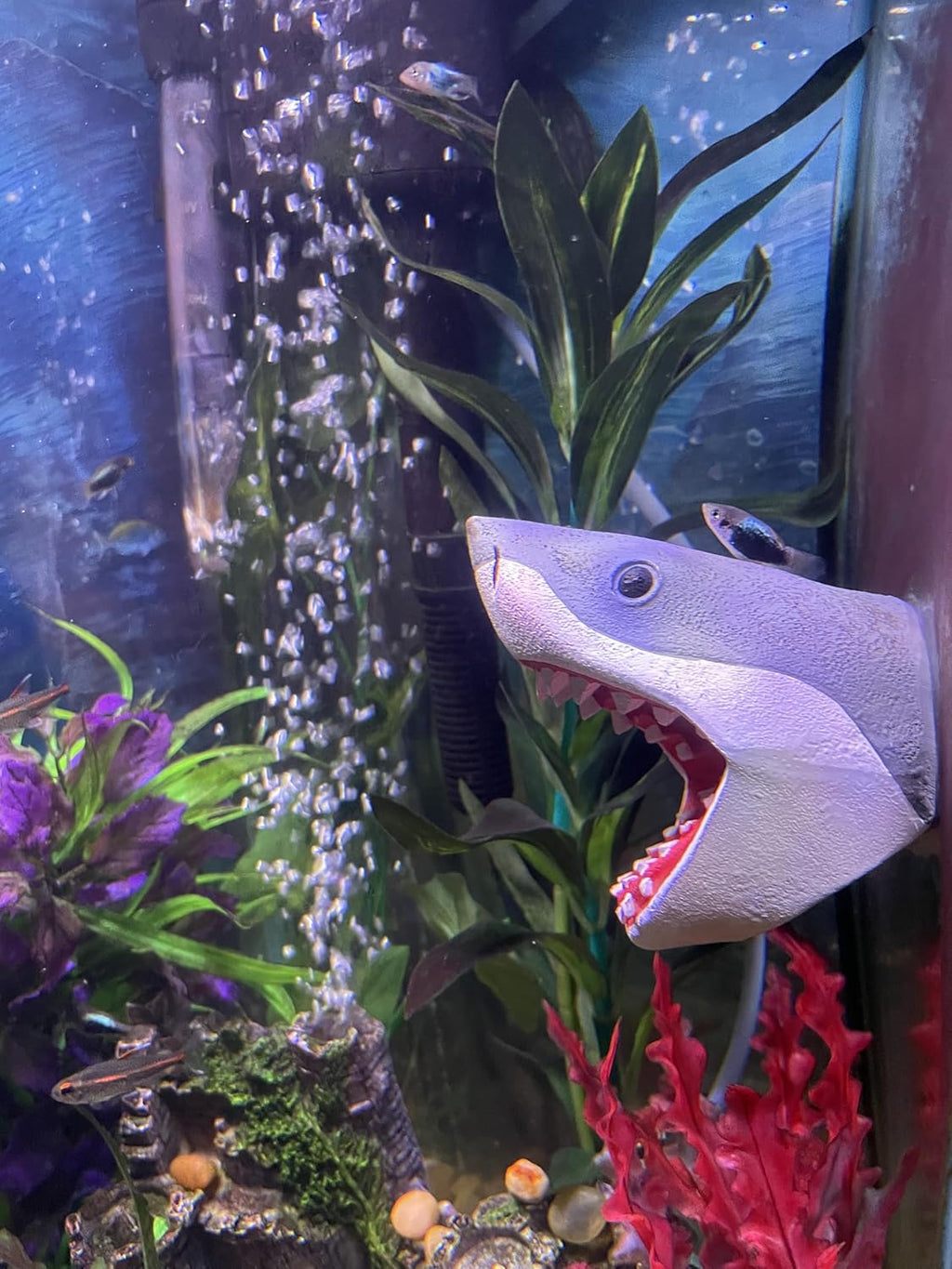 Aquarium Decor Magnetic Great White Shark Ornament – Wall-Mounted Fish Tank Accessory