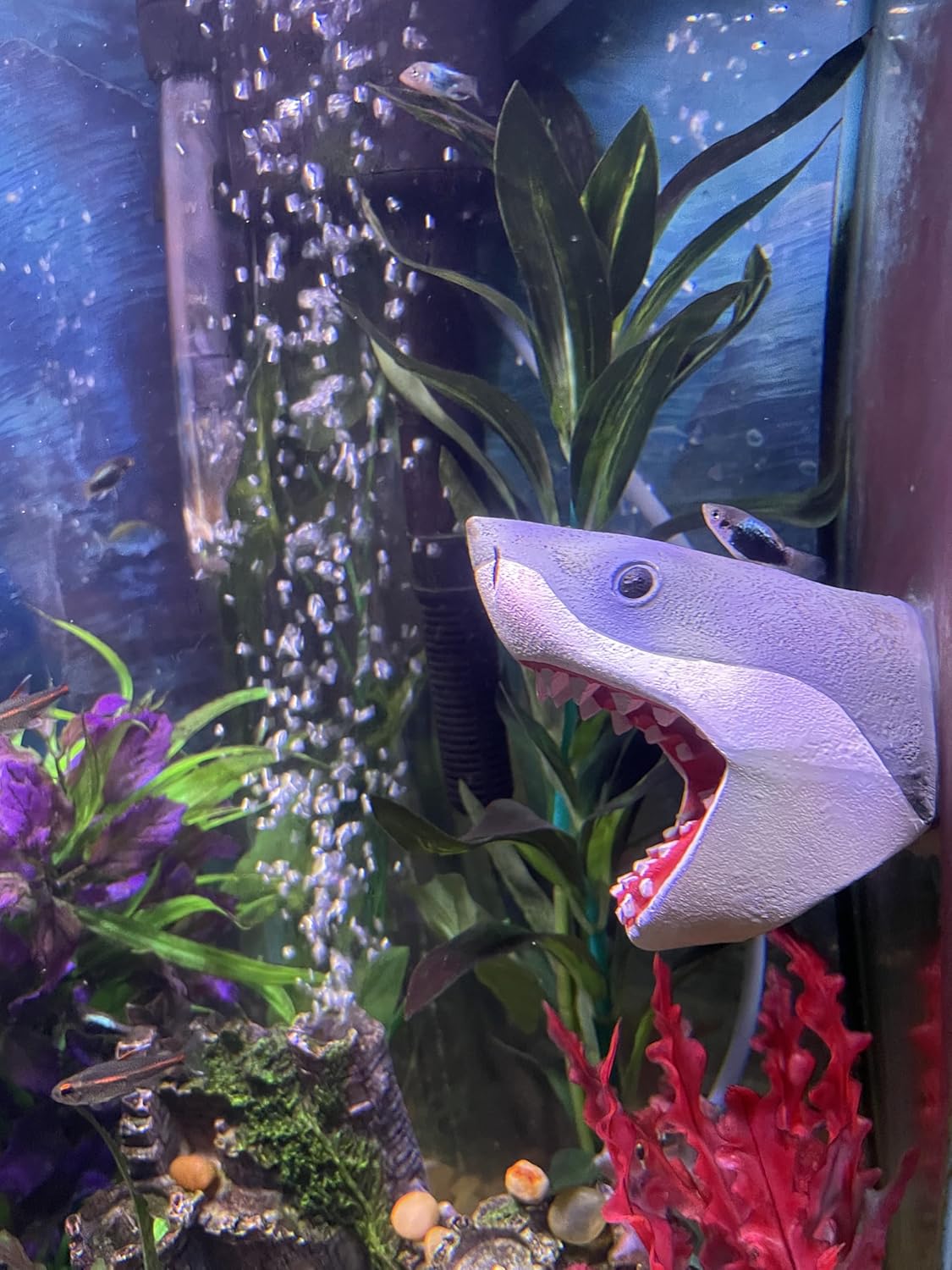 Aquarium Decor Magnetic Great White Shark Ornament – Wall-Mounted Fish Tank Accessory