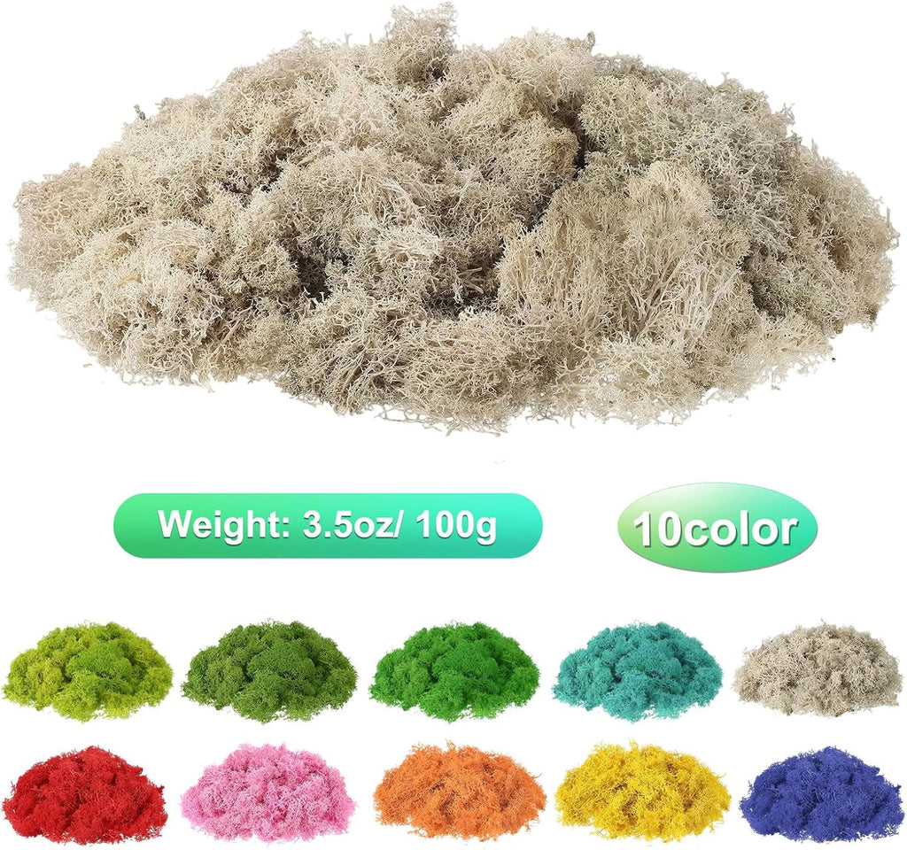 uxcell Preserved Reindeer Moss, 3.5oz Fake Moss for Crafts Artificial Dried Moss for Decoration Terrariums Potted Plants, Cream