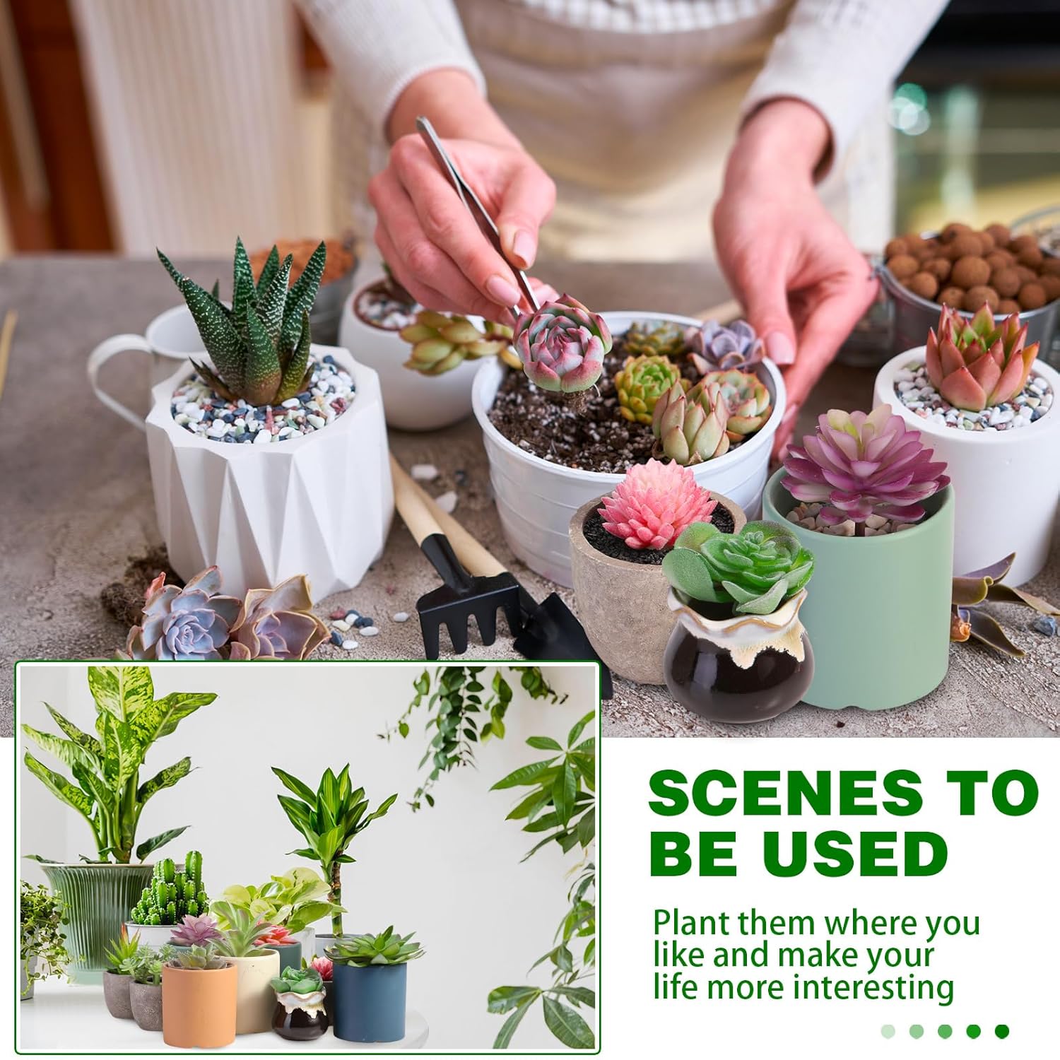 WILLBOND 50 Pcs 50 Pcs Bulk Mini Artificial Succulents Plants Assorted Unpotted Realistic Plants Fake Textured Succulent Picks Realistic Plastic Cactus Stems for Garden Home Decor (Large Style)