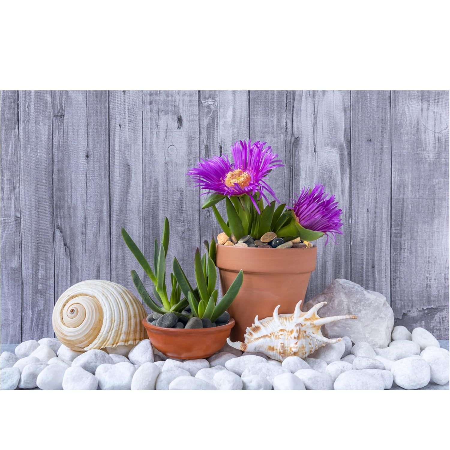 White River Rocks 40lbs, 2-3 Inch Natural Unpolished Bulk Pebbles, Hand-Picked Premium Stones for Landscaping and Garden Design Fish Tank, Flower Pots, Pathways and Backyard