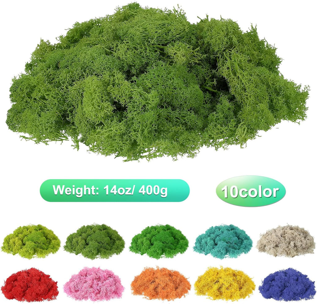 uxcell Preserved Reindeer Moss, 14oz Fake Moss for Crafts Artificial Dried Moss for Decoration Terrariums Potted Plants, Light Green/Dark Green/Green/White