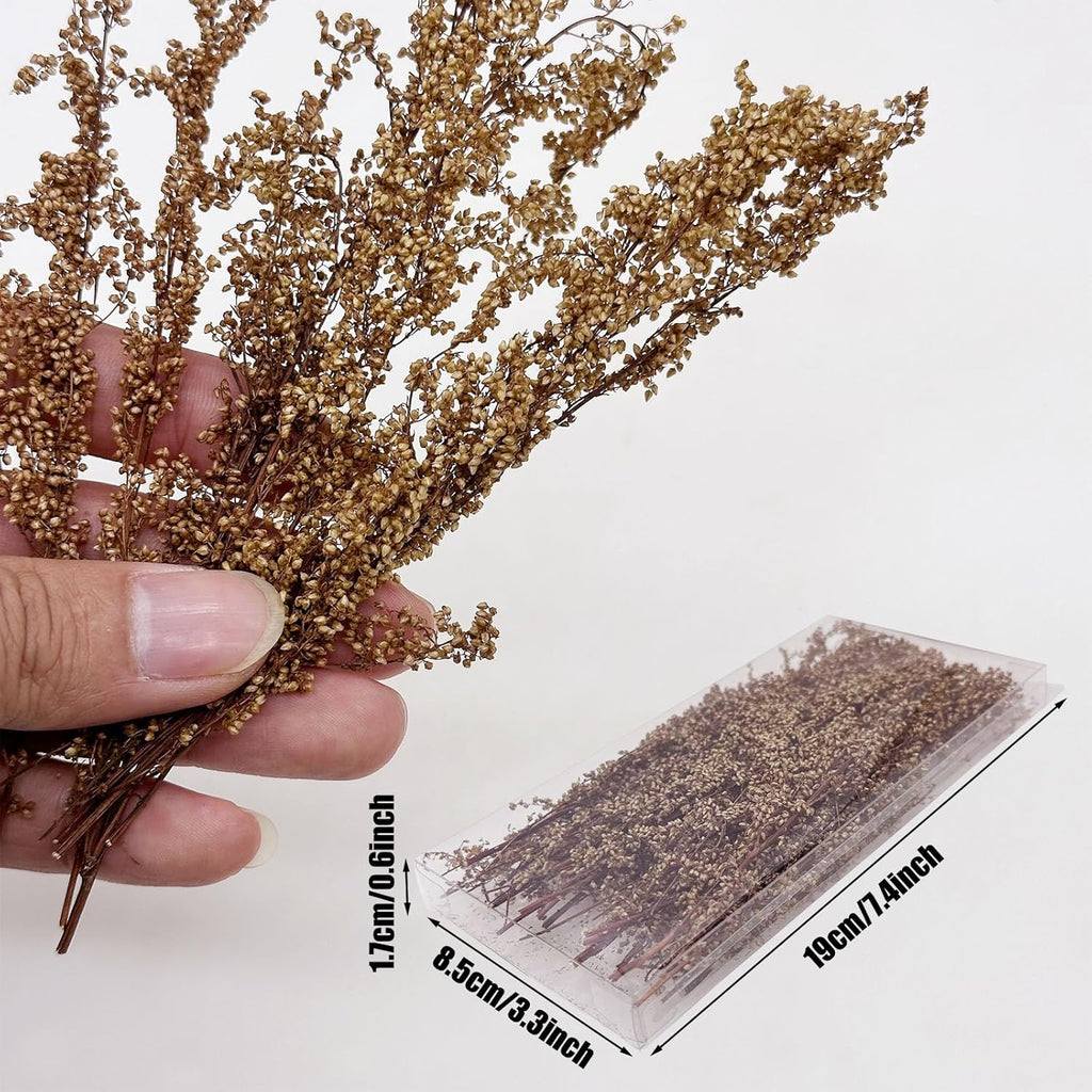 Woohome Miniature Shrubs Model Bushes Long Shrub Vegetation Groups Static Grass Tuft Model Lowland Shrubs Tuft for DIY Model Train Landscape Railroad Scenery, Beige