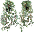2 Pcs Artificial Hanging Plants Realistic Watermelon Texture Fake Peperomia Leaves Faux Potting Vine Green Plants for Indoor Outdoor Home Garden Decor
