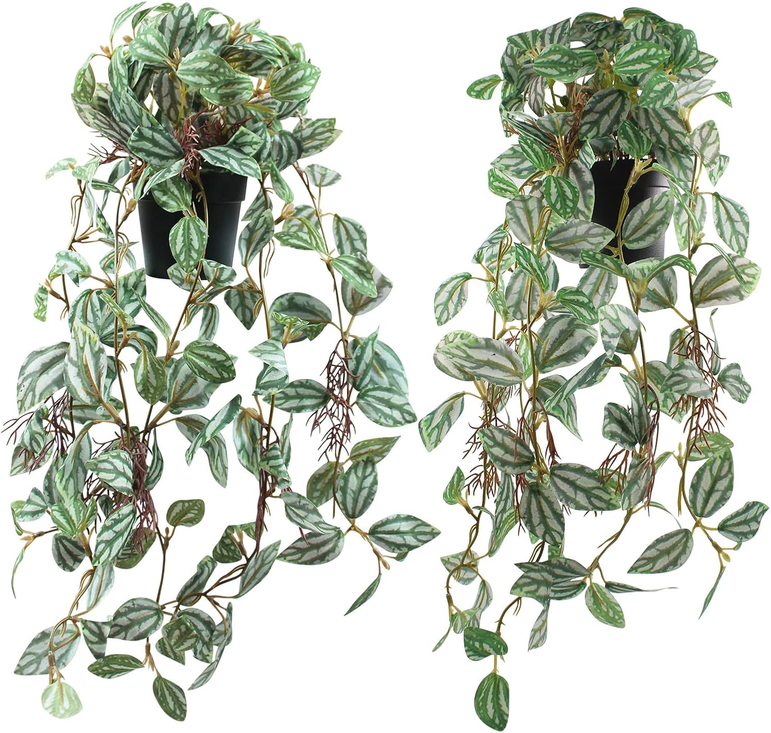 2 Pcs Artificial Hanging Plants Realistic Watermelon Texture Fake Peperomia Leaves Faux Potting Vine Green Plants for Indoor Outdoor Home Garden Decor
