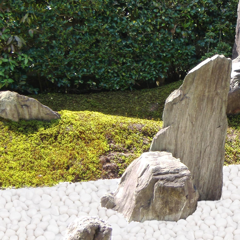 20 lbs White Rocks for Plants Indoor, 1-2 inch Decorative Garden Stone Outdoor Landscaping, Walkways, Yard, Large Polished River Rocks for Plants Pots, Vases, Crafts