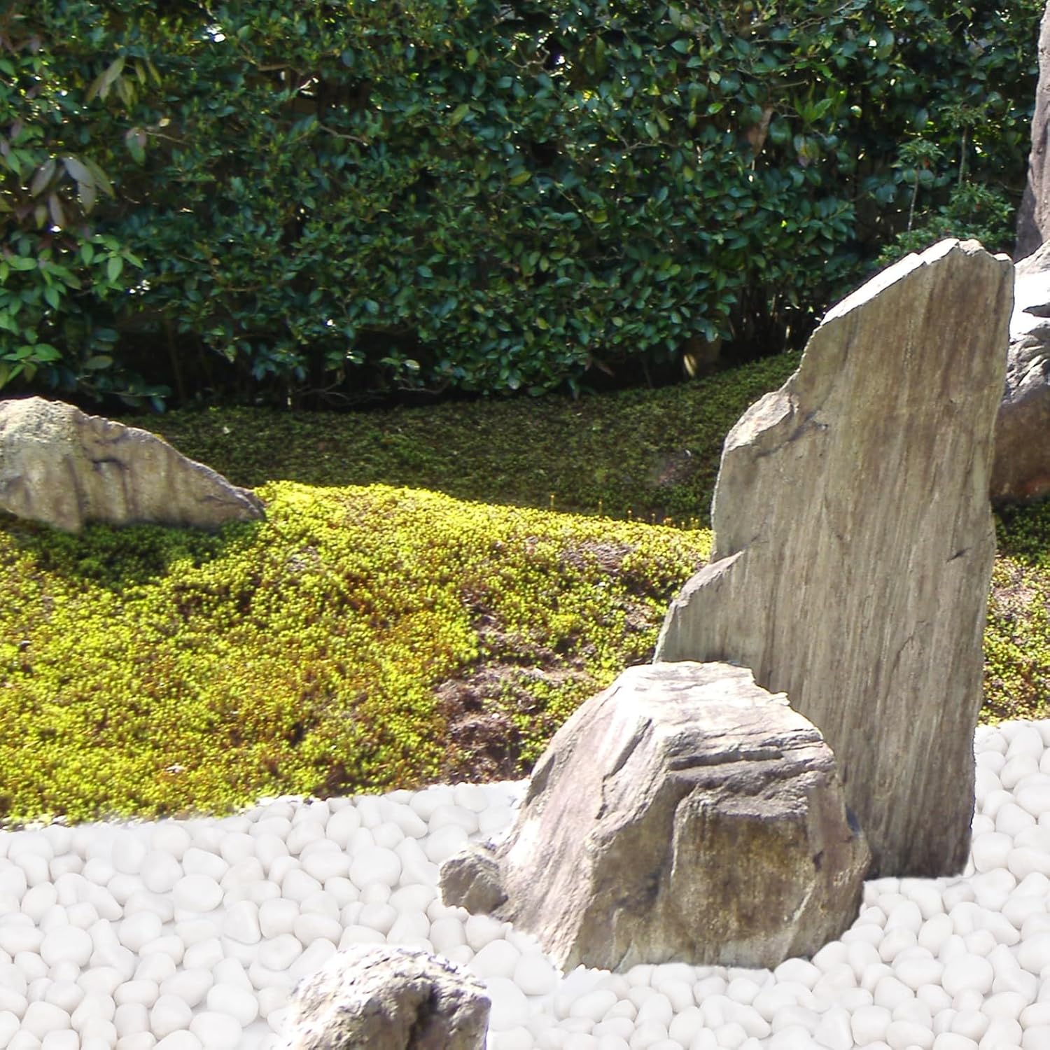 20 lbs White Rocks for Plants Indoor, 1-2 inch Decorative Garden Stone Outdoor Landscaping, Walkways, Yard, Large Polished River Rocks for Plants Pots, Vases, Crafts
