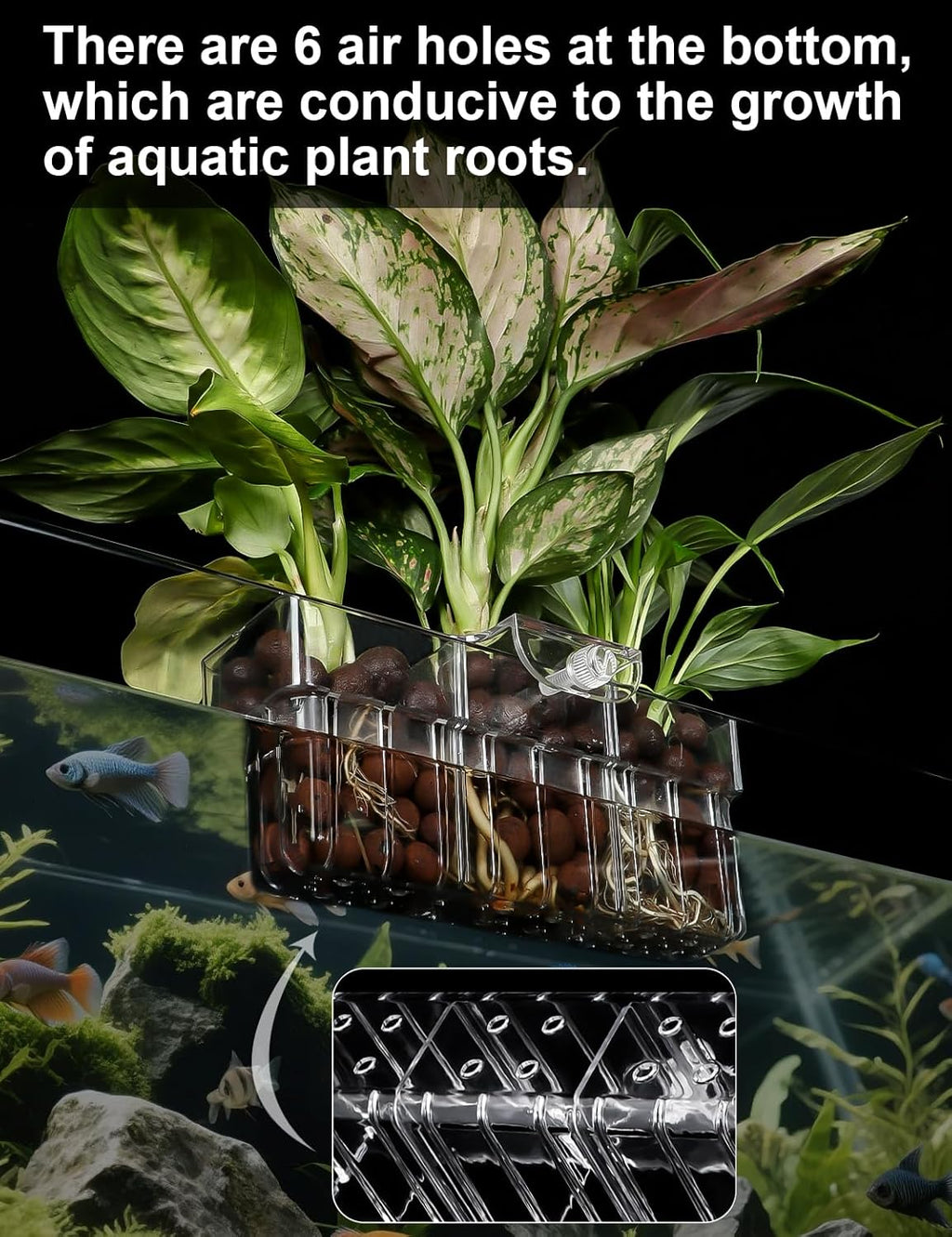 2 Pack Clear Aquarium Plant Holder Top Hanging Fish Tank Plant Holders Fits up to 0.8in Tank Edges, Aquarium Décor