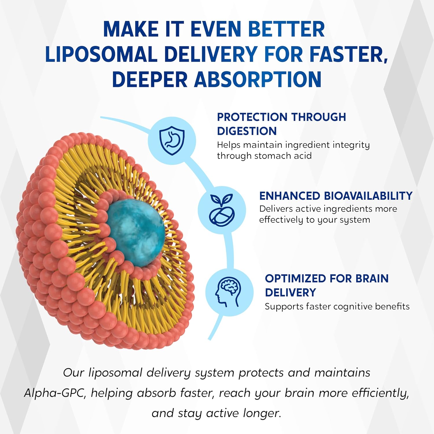 Liposomal Alpha-GPC, Lion’s Mane, Citicoline, Bacopa Monnieri & Cordyceps – Support Memory, Focus & Brain Health – 150 Capsules*
