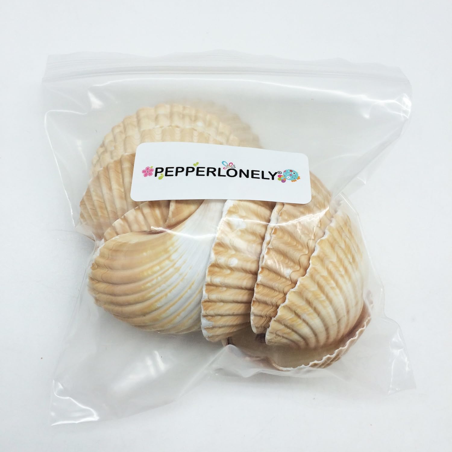 PEPPERLONELY 10PC Mexican Deep Scallop Sea Shells, 2-3/4 Inch ~ 3-1/2 Inch