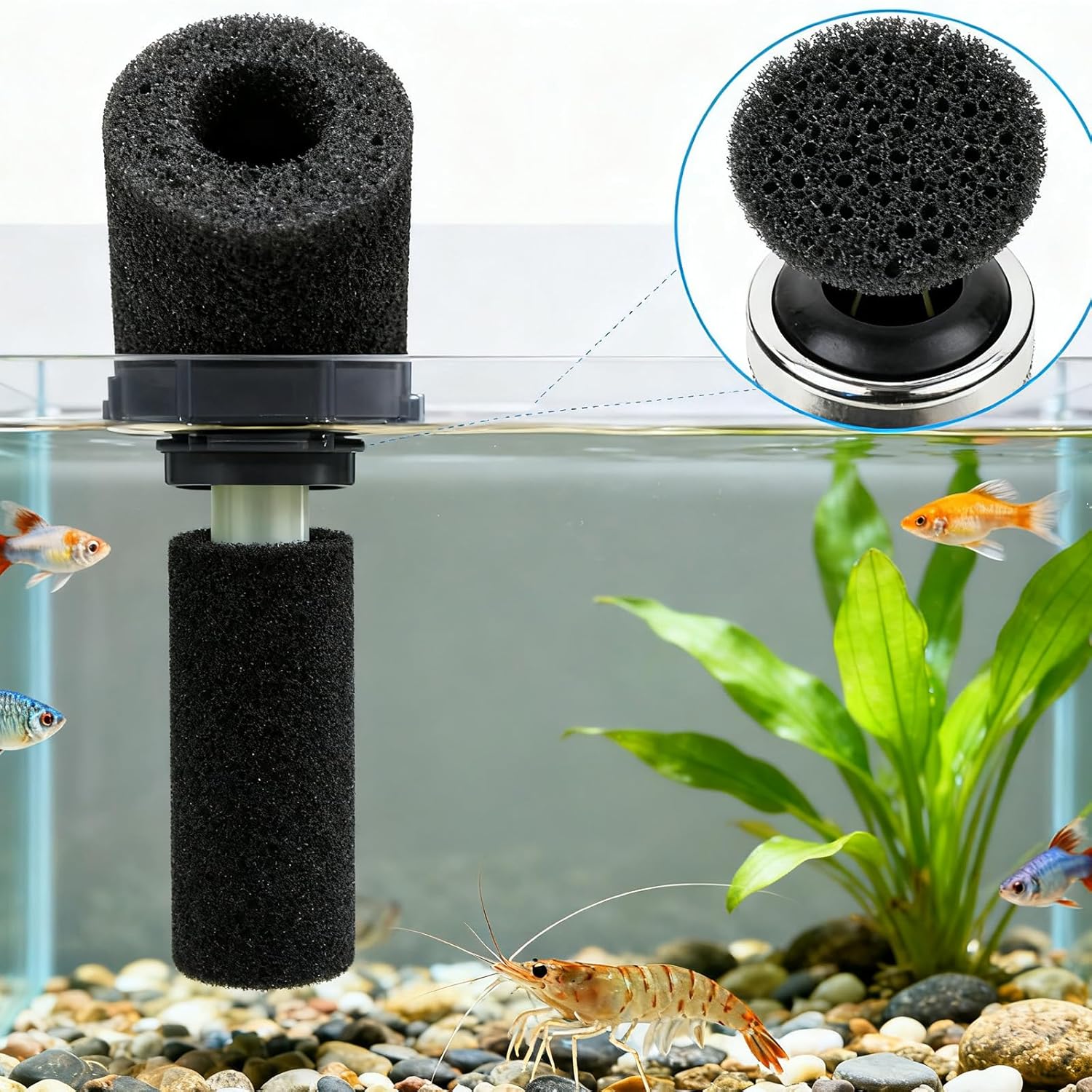 10-Pack Pre-Filter Sponge,for Aquarium Shrimp Fry Fish Tank Filter Intake 0.6 Inch,Filter Intake Guard for Fish Tank, Keeps Small Fish Safe,Replacement Foam Cover