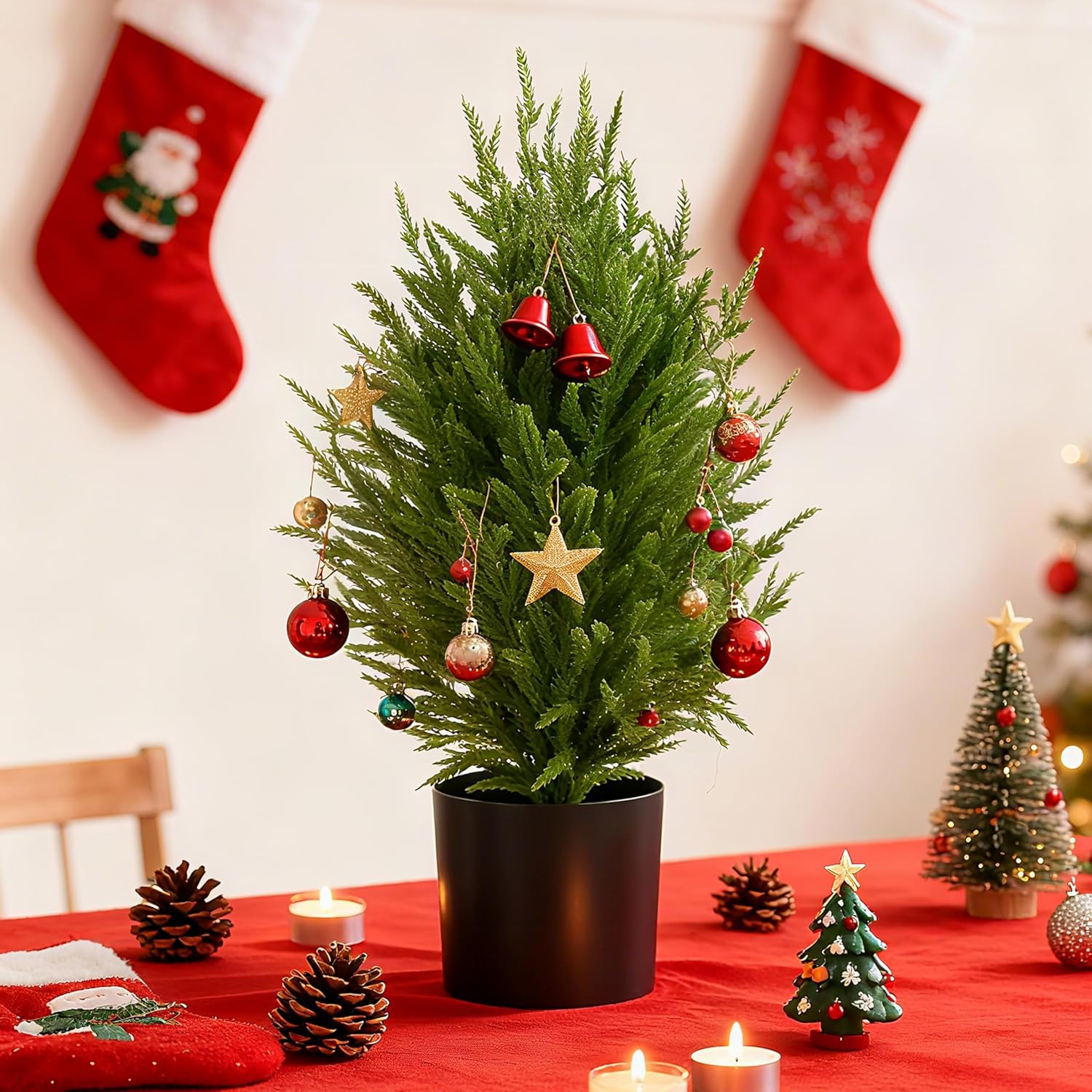 Palonu 1 Pcs 2Ft Christmas Norfolk Pine Potted Trees, 24" Realistic Artificial Norfolk Tree with Pot Faux Greenery UV Resistant Fake Plants for Tabletop Front Porch Indoor Outdoor Home Décor