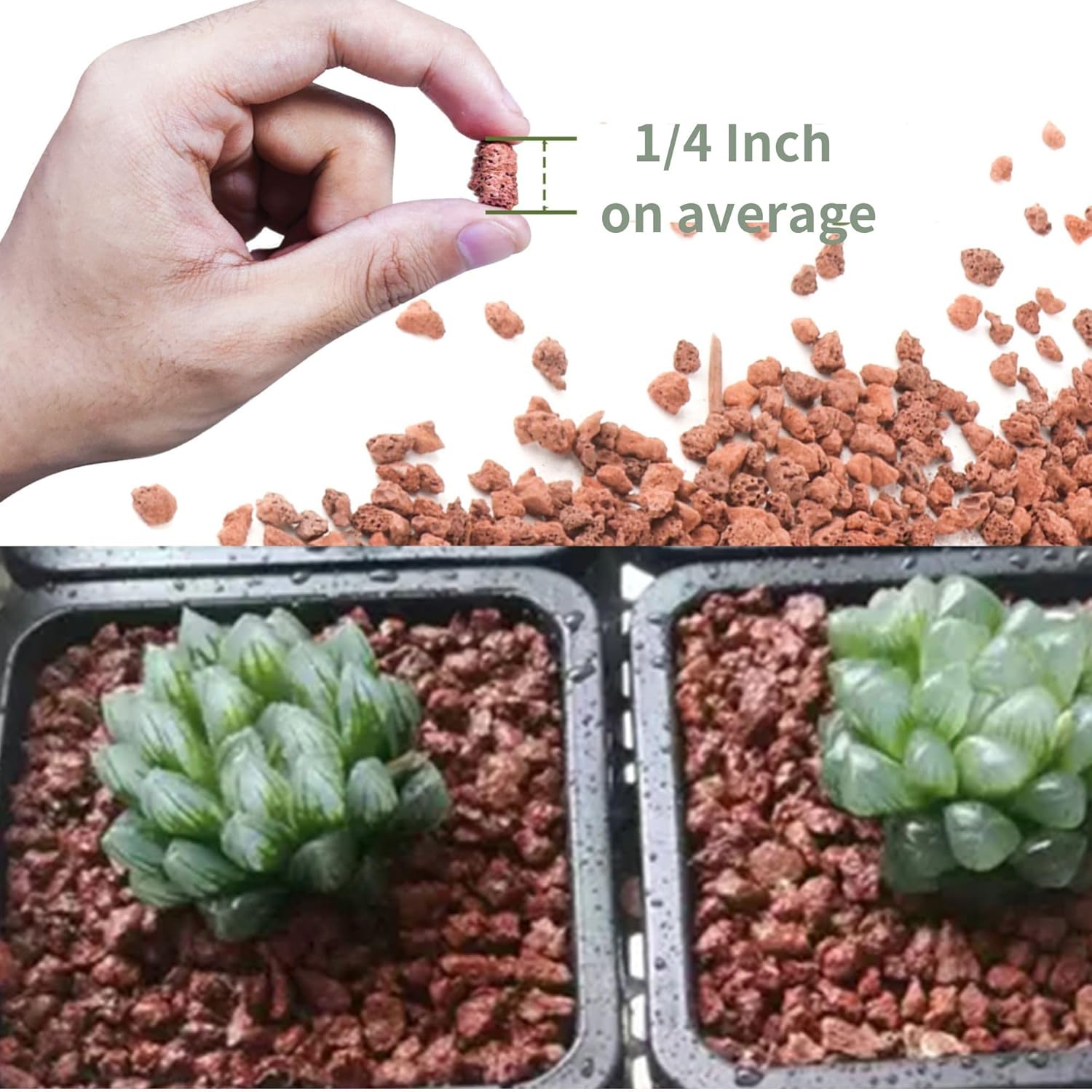 2.4LB Red Lava Rocks for Plants, Volcanic Rock Horticultural Lava Rock Soil for Landscaping Plants Drainage, Small Lava Rock Gravel for Succulents, Bonsai, Vase Fillers, Terrarium Plants, Top Dressing