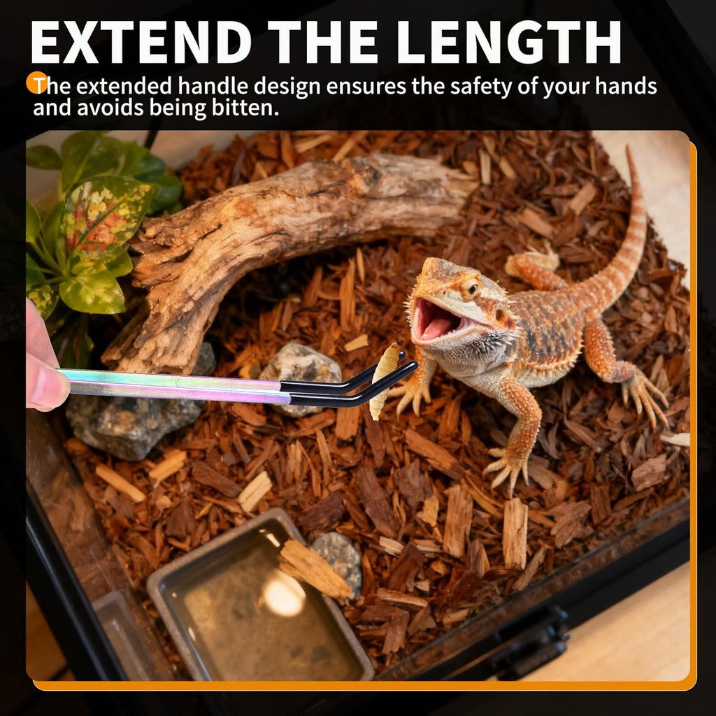 3 Pack Stainless Steel Reptile Feeding Tongs with Rubber Tip and Spoon, 10.6" Straight & Curved Tweezers for Aquariums & Crafts, Feeder Tools for Bearded Dragons & Lizards, Terrarium Tank Supplies